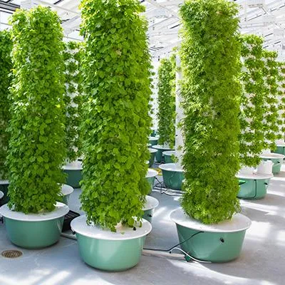 Hydroponic Tower - Aeroponics Towers Garden Systems With Lights