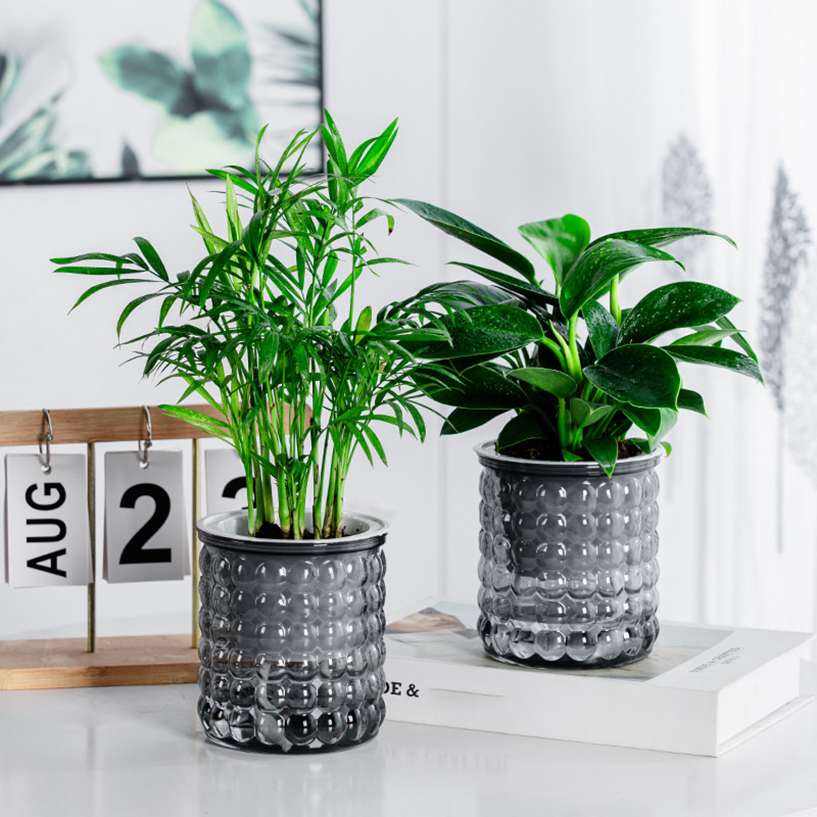 Hydroponic Grow Pod - New Self Watering Hydroponic Plants Pot