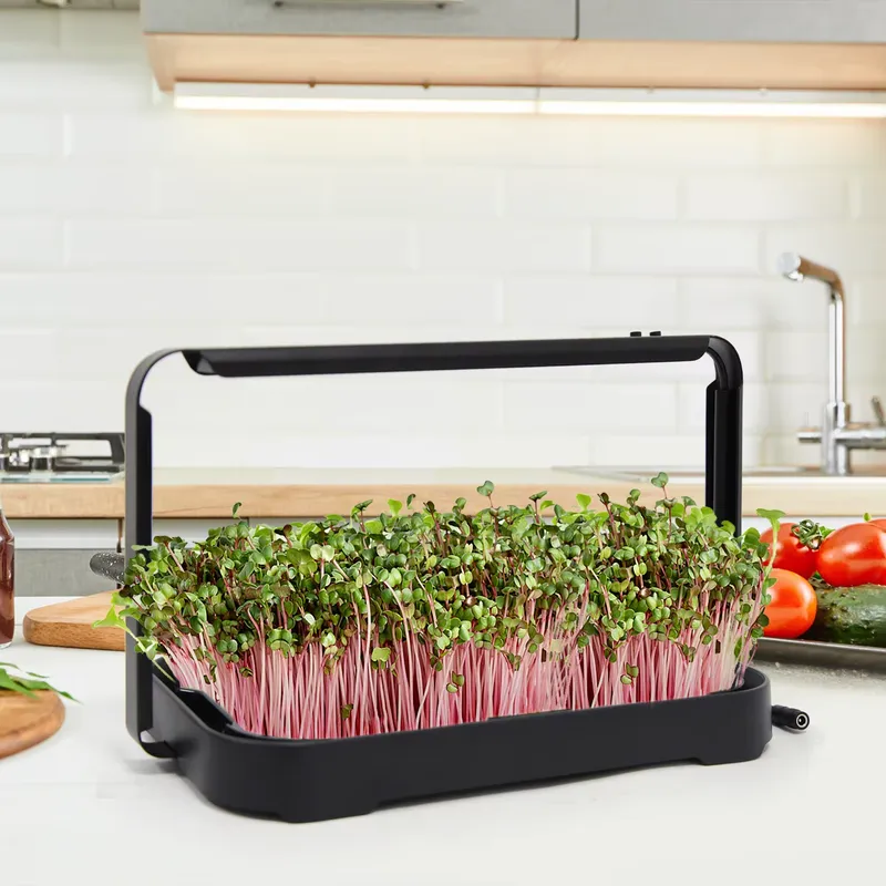 Smart Garden System - Hydroponic Tray Indoor Microgreen Microgreen Seeds
