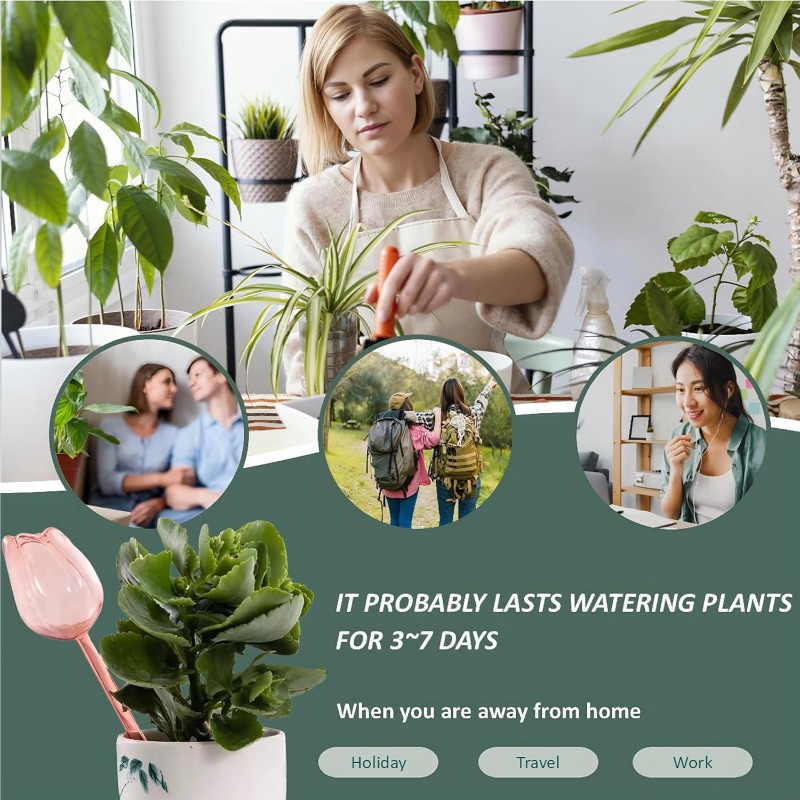 Pink Tulip Plant Watering Ball - Plant Sensor recension och pris