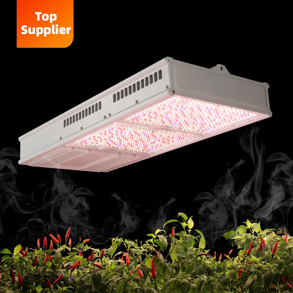 Cost-Effective 600W 800W Topli - Plant Grow Light Full Spectrum recension och pris
