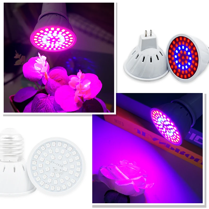 Phyto Lamp Full Spectrum LED G - Plant Grow Light Full Spectrum recension och pris