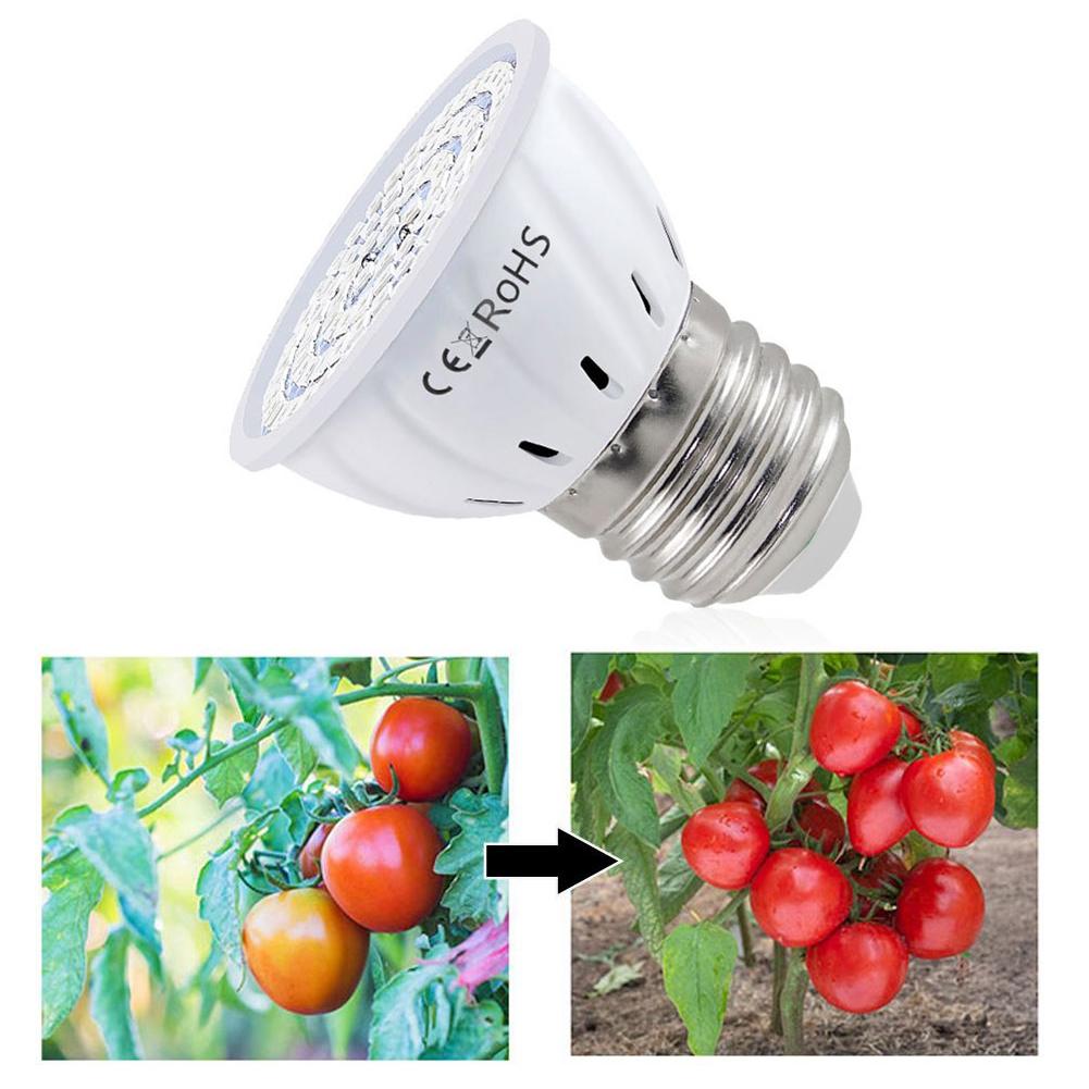 LED Grow Bulb E27 60 80LEDs Fu - Plant Grow Light Full Spectrum recension och pris