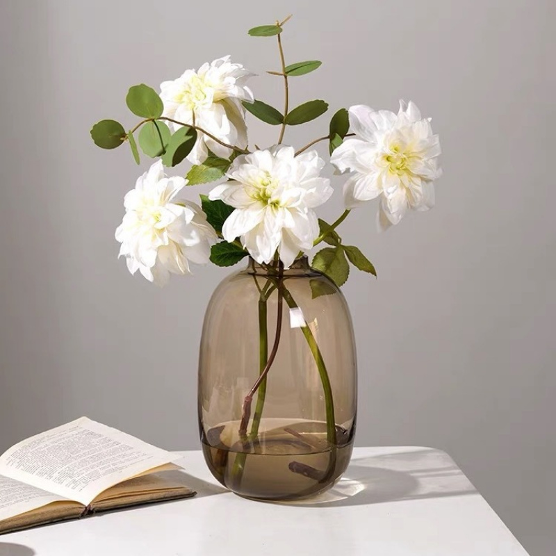 Transparent Glass Vase, Office - Hydroponic Grow Pod recension och pris
