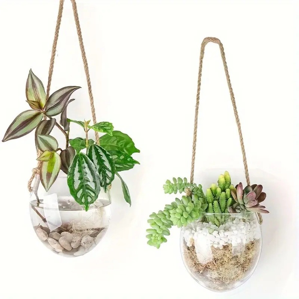 Transparent Hydroponic Hanging - Hydroponic Grow Pod recension och pris
