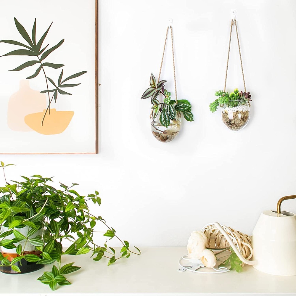 Transparent Hydroponic Hanging - Hydroponic Grow Pod recension och pris