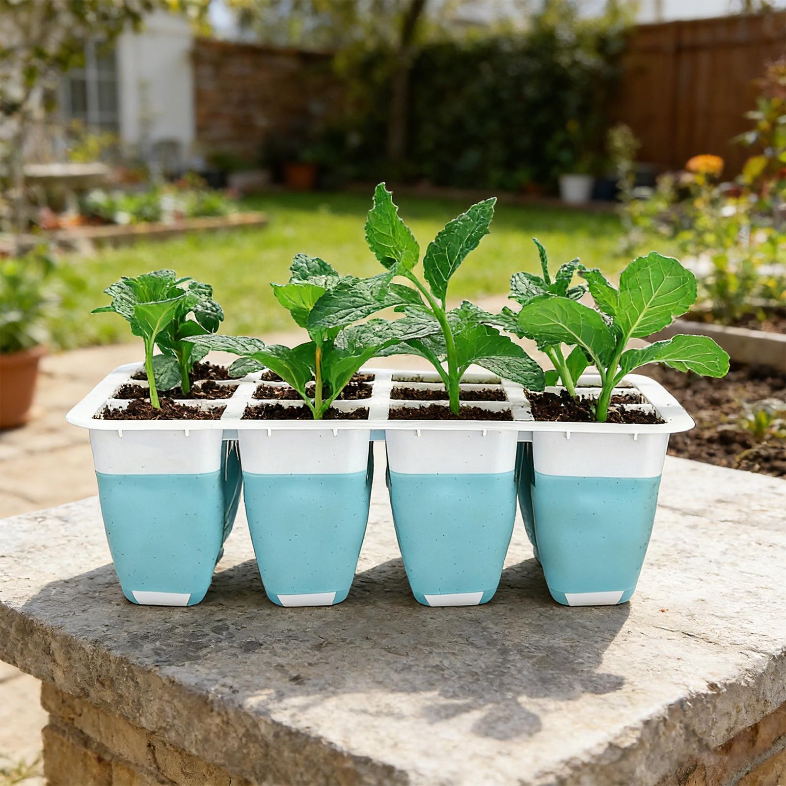 5 Pack Silicone Seed Starter T - Indoor Garden Kit recension och pris