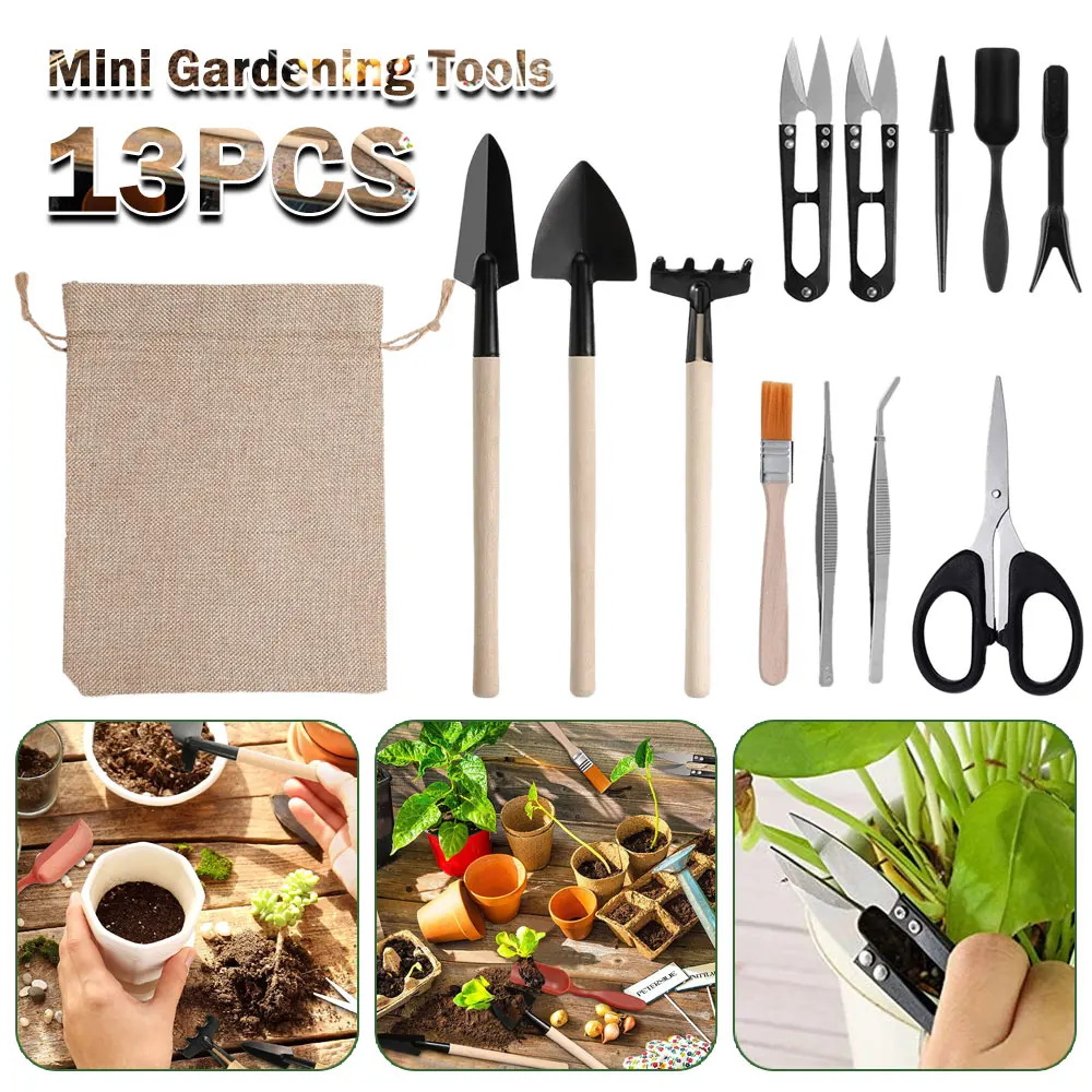 13PCS Succulent Plants Tool Se - Indoor Garden Kit recension och pris