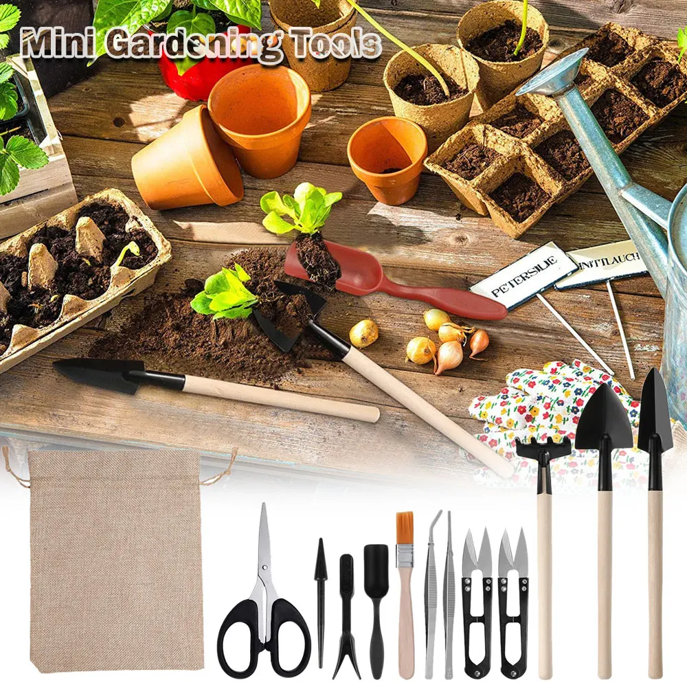 13PCS Succulent Plants Tool Se - Indoor Garden Kit recension och pris